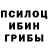 Псилоцибиновые грибы ЛСД Quentin Jaxon