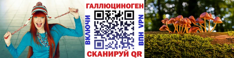 закладка  Норильск  Псилоцибиновые грибы прущие грибы 