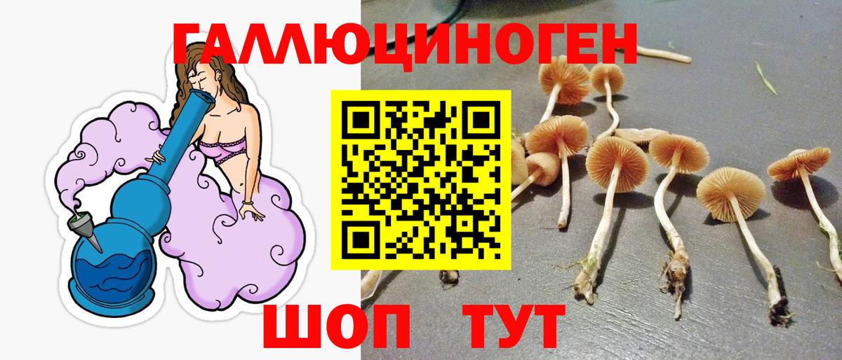 Псилоцибиновые грибы ЛСД  Вход с VPN  Норильск 