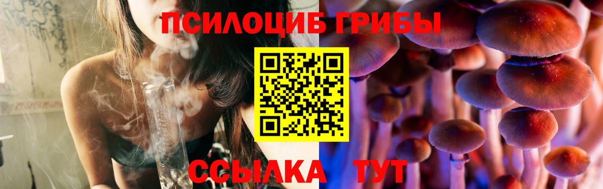 Галлюциногенные грибы GOLDEN TEACHER Норильск